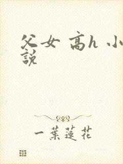 父女 高h 小说
