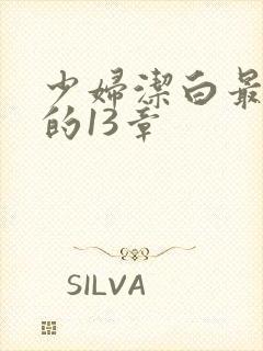 少妇洁白最刺激的13章