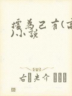 据为己有(高干)小说