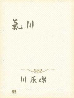 气川封面