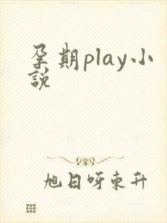 孕期play小说