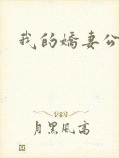 我的娇妻公务员