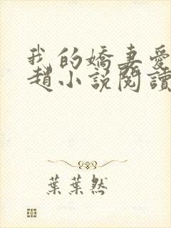 我的娇妻爱女小赵小说阅读