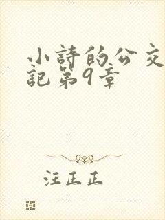 小诗的公交车日记第9章封面