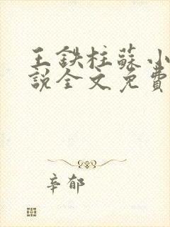 王铁柱苏小汐小说全文免费阅读最新章节封面