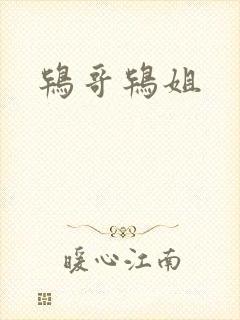 鸨哥鸨姐
