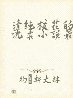 清纯校花的日常沈柔小说最新章节更