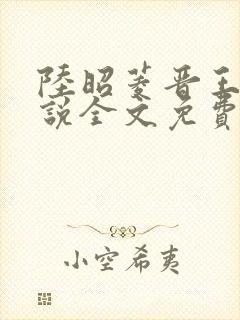 陆昭菱晋王的小说全文免费阅读