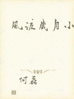 风流岁月小说封面