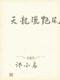 天龙猎艳风流