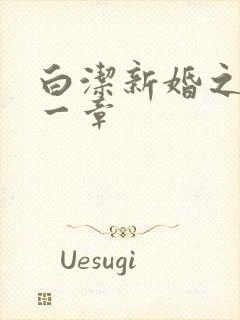 白洁新婚之夜第一章