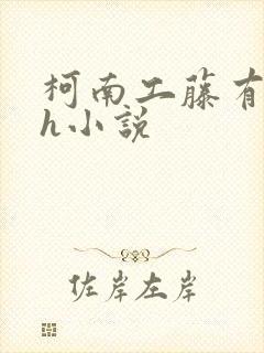 柯南工藤有希子h小说封面