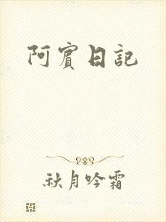 阿宾日记封面
