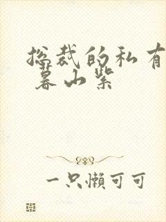 总裁的私有宝贝 暮山紫封面