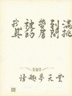 我被带到满是玩具的房间挑调游戏