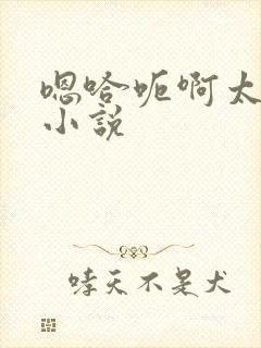 嗯哈呃啊太大了小说