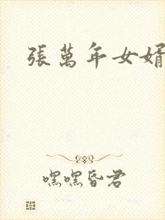 张万年女婿封面
