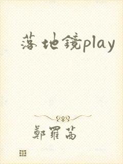 落地镜play