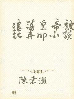 浪荡皇帝被多人玩弄np小说