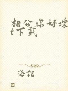 相公你好坏txt下载
