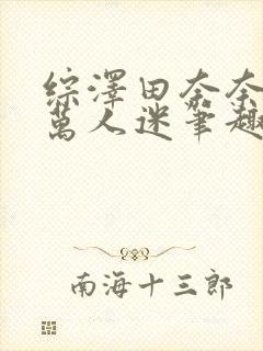 综泽田奈奈子是万人迷笔趣阁封面