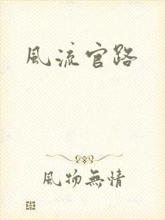 风流官路