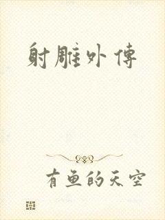 射雕外传封面
