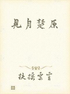见月楚原