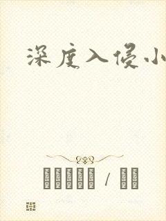 深度入侵小说封面