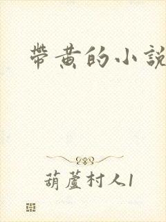 带黄的小说封面