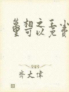 万相之王小说哪里可以免费阅读封面