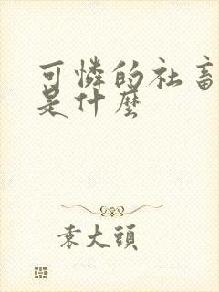 可怜的社畜讲的是什么封面