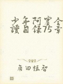 少年阿宾全文阅读目录75章笔趣阁