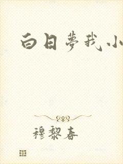 白日梦我小说