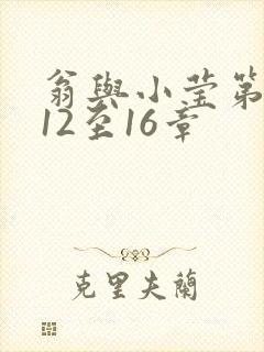 翁与小莹第十部12至16章封面