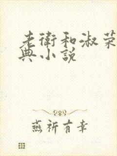 老卫和淑荣的经典小说