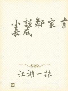 小说邻家有女初长成封面