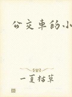 公交车的小说封面