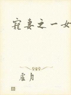 宠妻之一女二夫