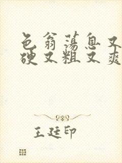 色翁荡息又大又硬又粗又爽小莹