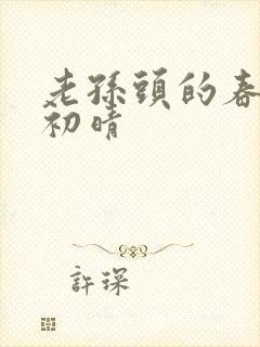 老孙头的春天林初晴封面