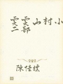 雯雯山村小说第二部封面