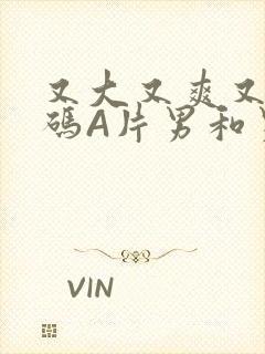 又大又爽又黄无码A片男和男