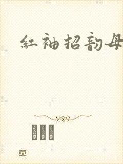 红袖招韵母攻略