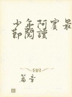 少年阿宾最新章节阅读