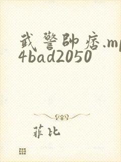 武警帅痞.mp4bad2050封面