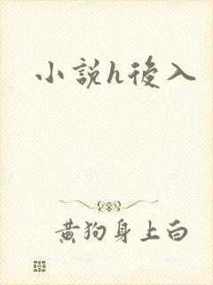 小说h后入