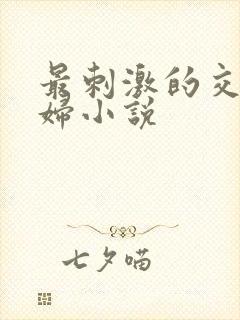 最刺激的交换夫妇小说
