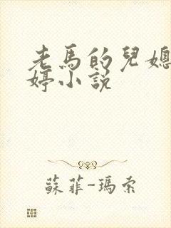 老马的儿媳顾婉婷小说