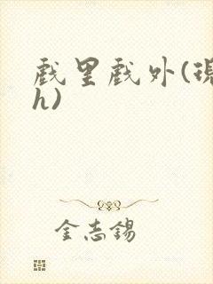 戏里戏外(现场h)